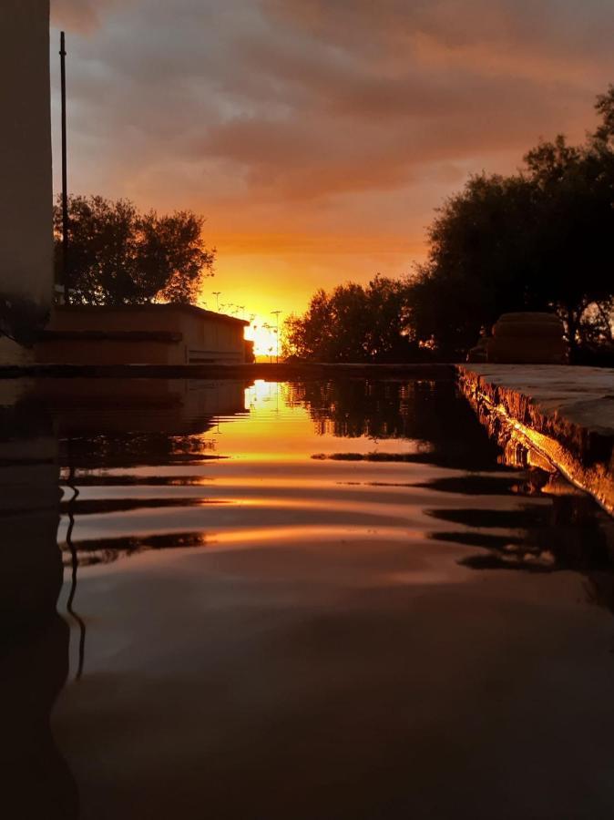 El Vihuelo El Bosque (Cadiz)