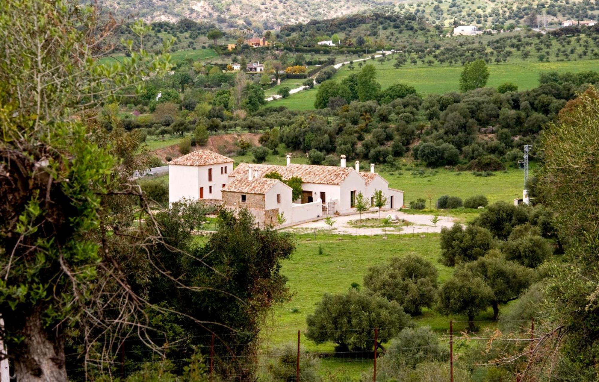 El Vihuelo El Bosque
