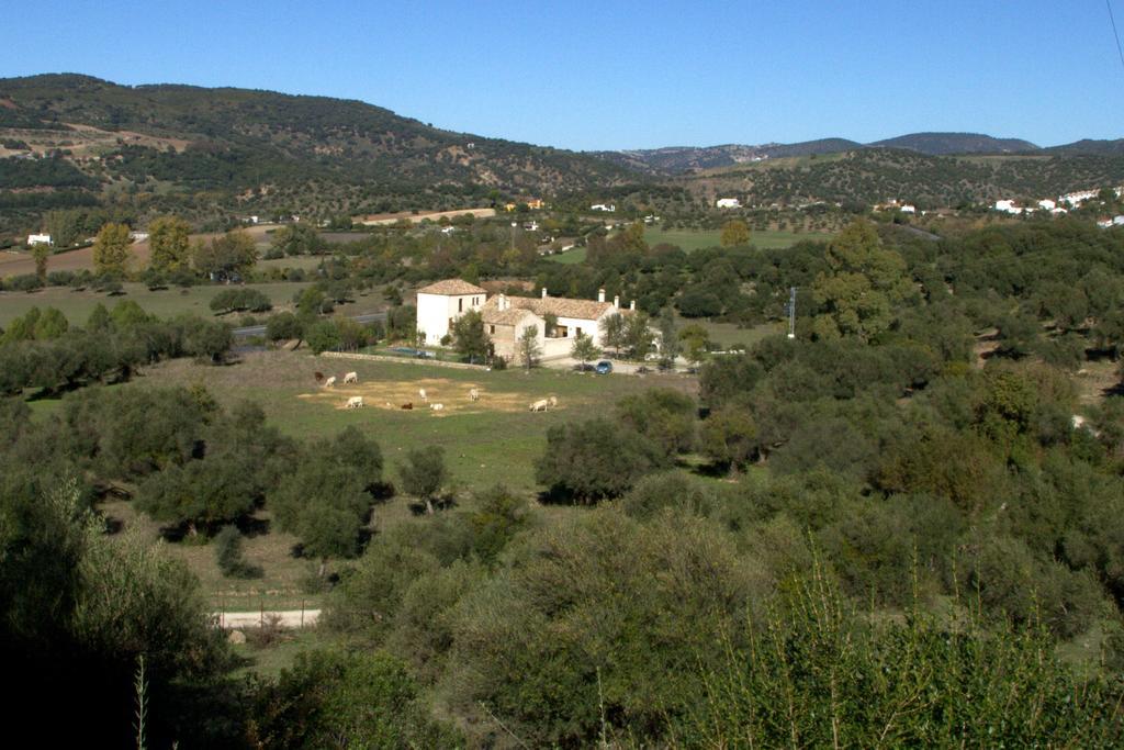 El Vihuelo Hotel